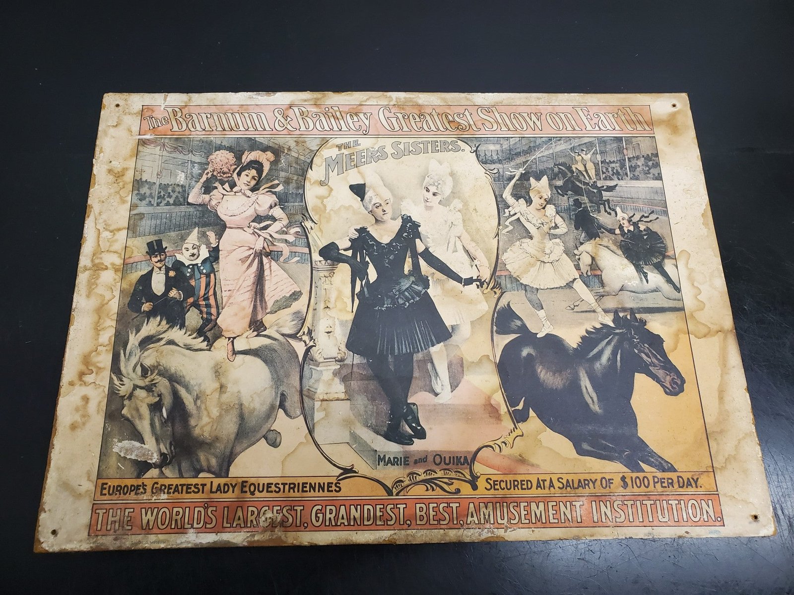 Vintage 1960 Barnum Bailey Circus Poster Horses Meers Sisters Original 19"X13.5"