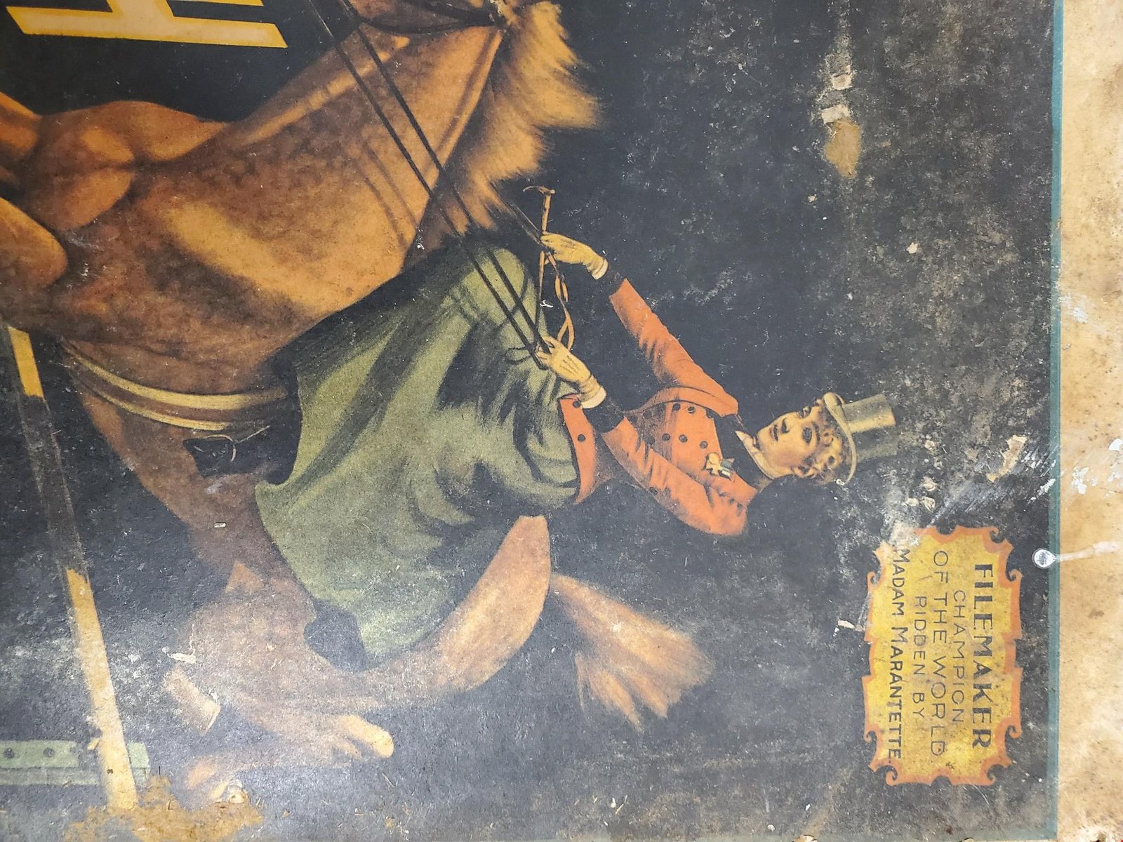 20210706114543a.jpg VTG THE GREAT ADAM FOREPAUGH SHOWS POSTER 1960 CIRCUS WORLD MUSEUM 13.5"x19"