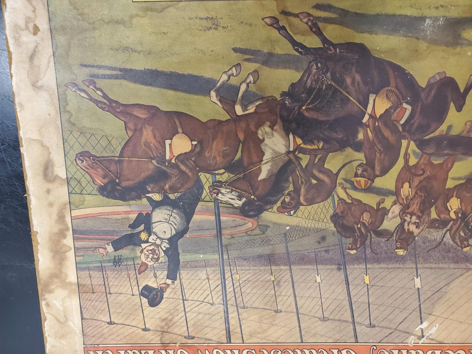 20210706114908a.jpg VTG 1960 Barnum & Bailey Circus Poster Monkeys on Horses 19"X13.5"