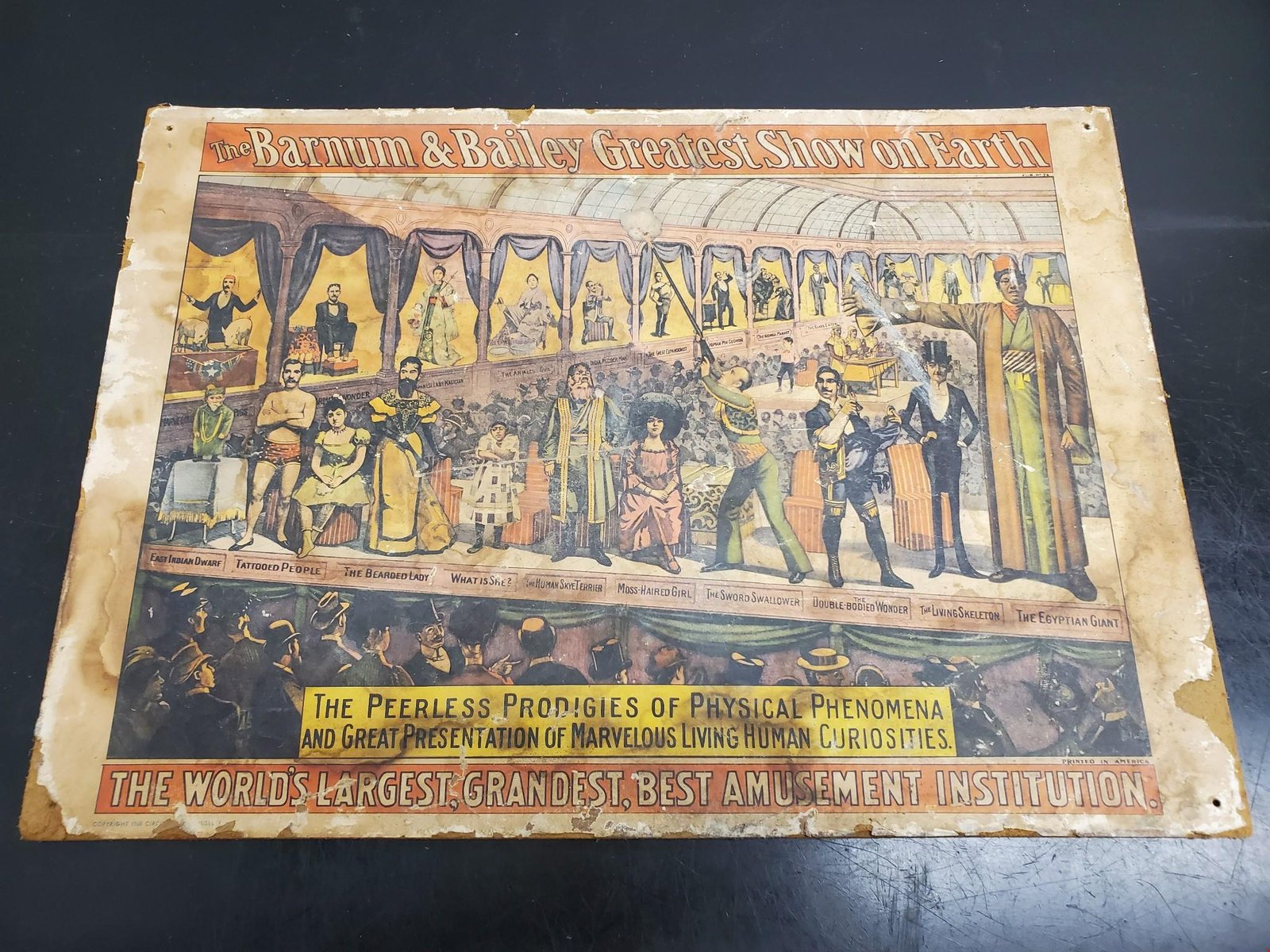 Vintage Original Barnum & Bailey Peerless Prodigies Poster 1960 19”x13.5”