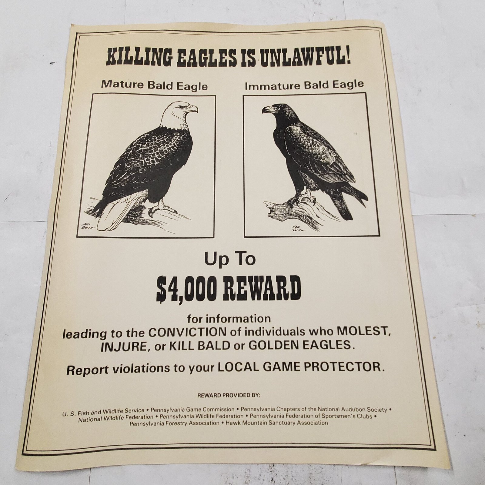 VTG RARE 1970s Wildlife Pennsylvania Game Commission No Killing Bald Eagles Sign