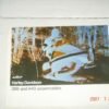 Harley AMF Snowmobile Literature 1974 398 440 Brochure Vintage OEM Advertisement