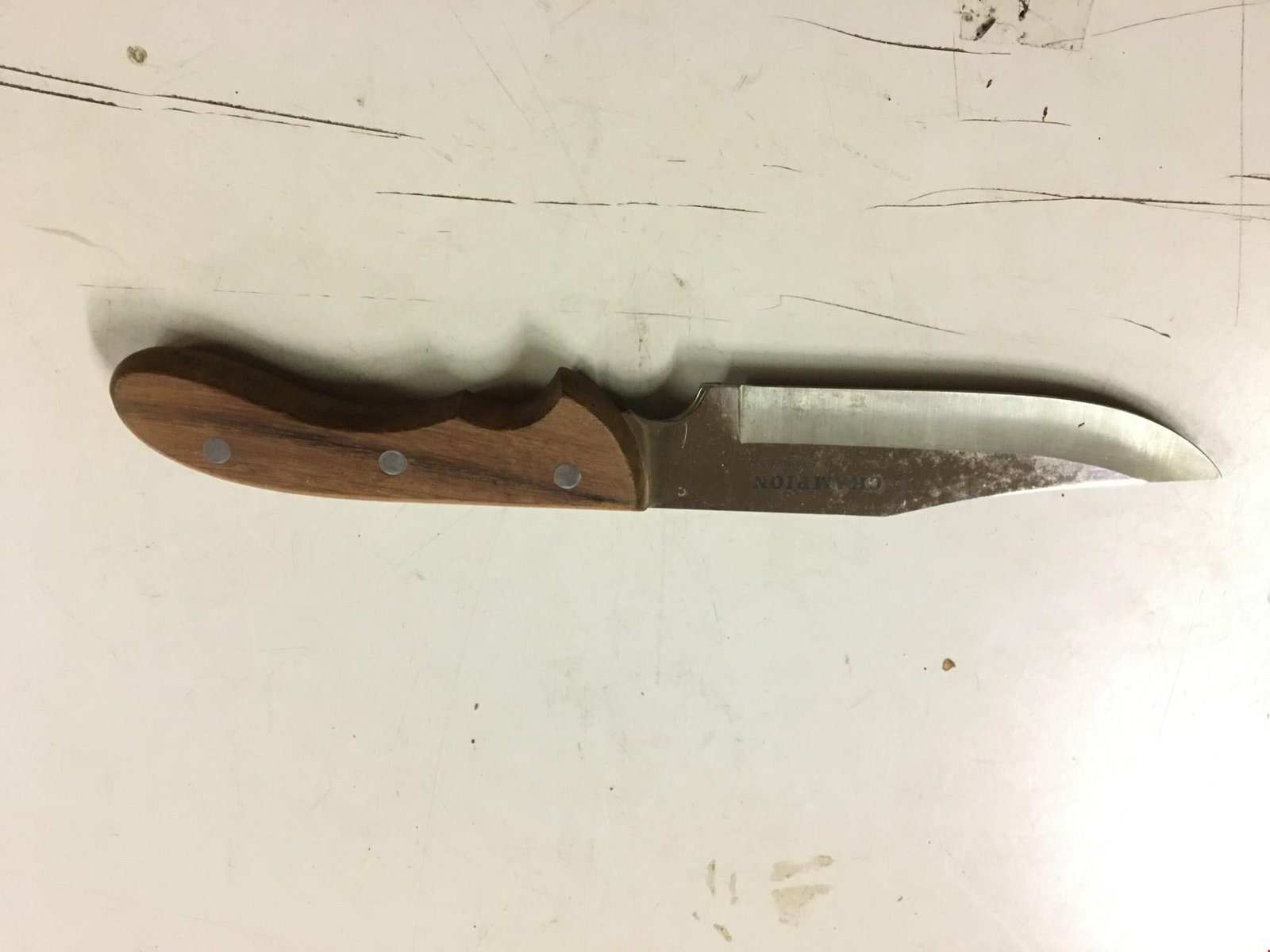 Champion 420 stainless fixed blade wood handle knife made in Japan hunting camp