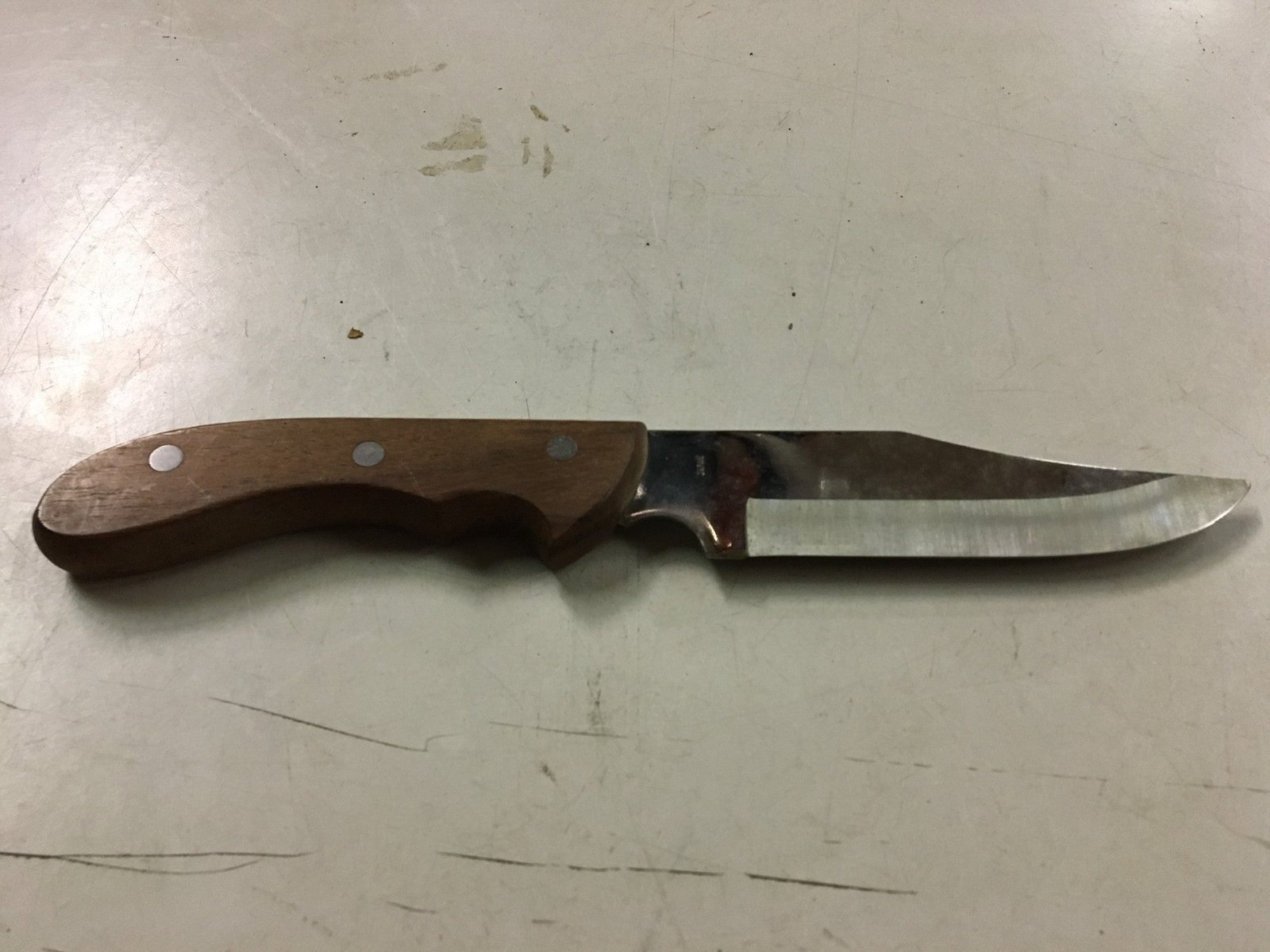 Champion 420 stainless fixed blade wood handle knife made in Japan hunting camp