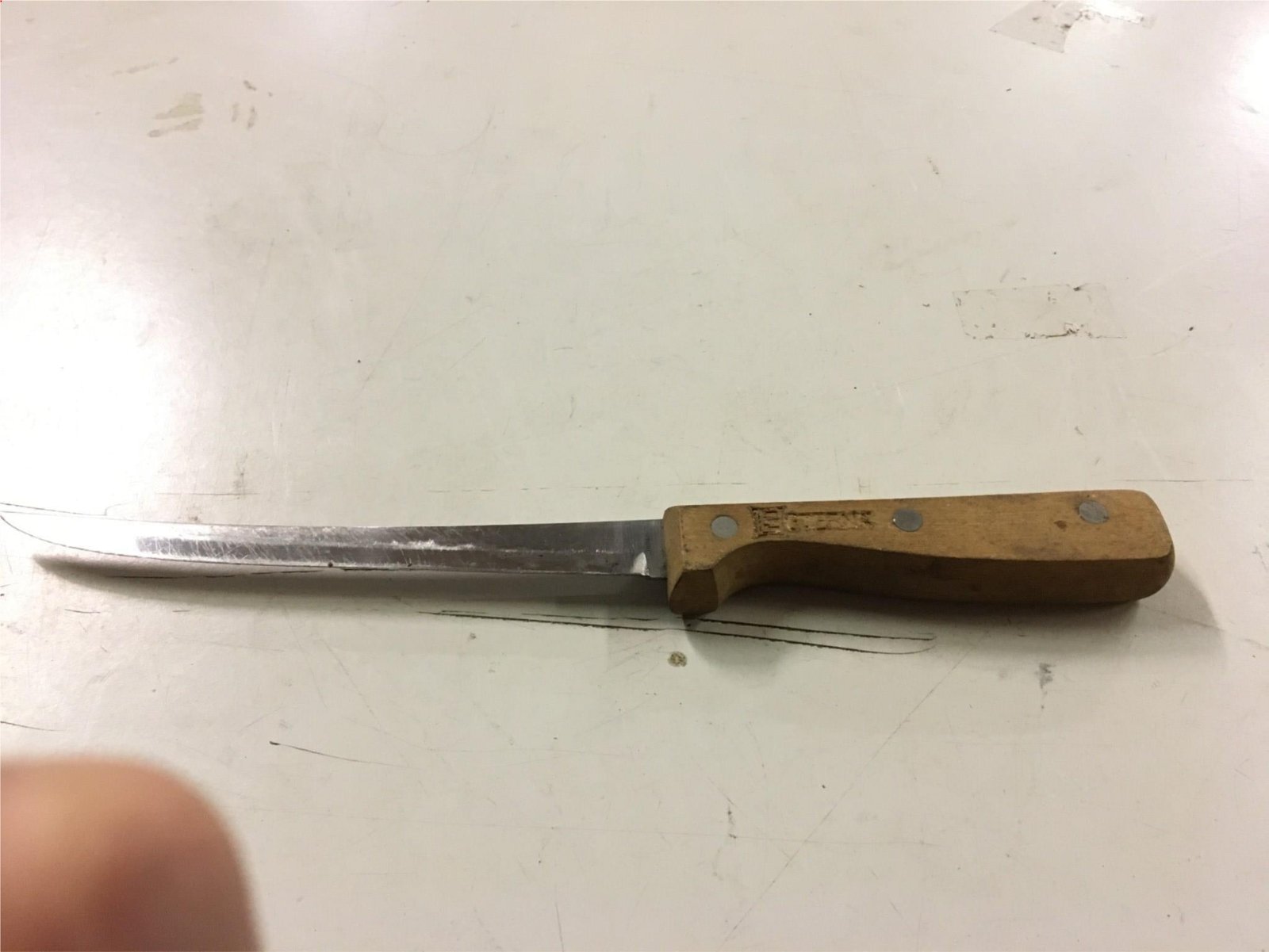 Echo Eterna fillet knife wooden handle fishing camping