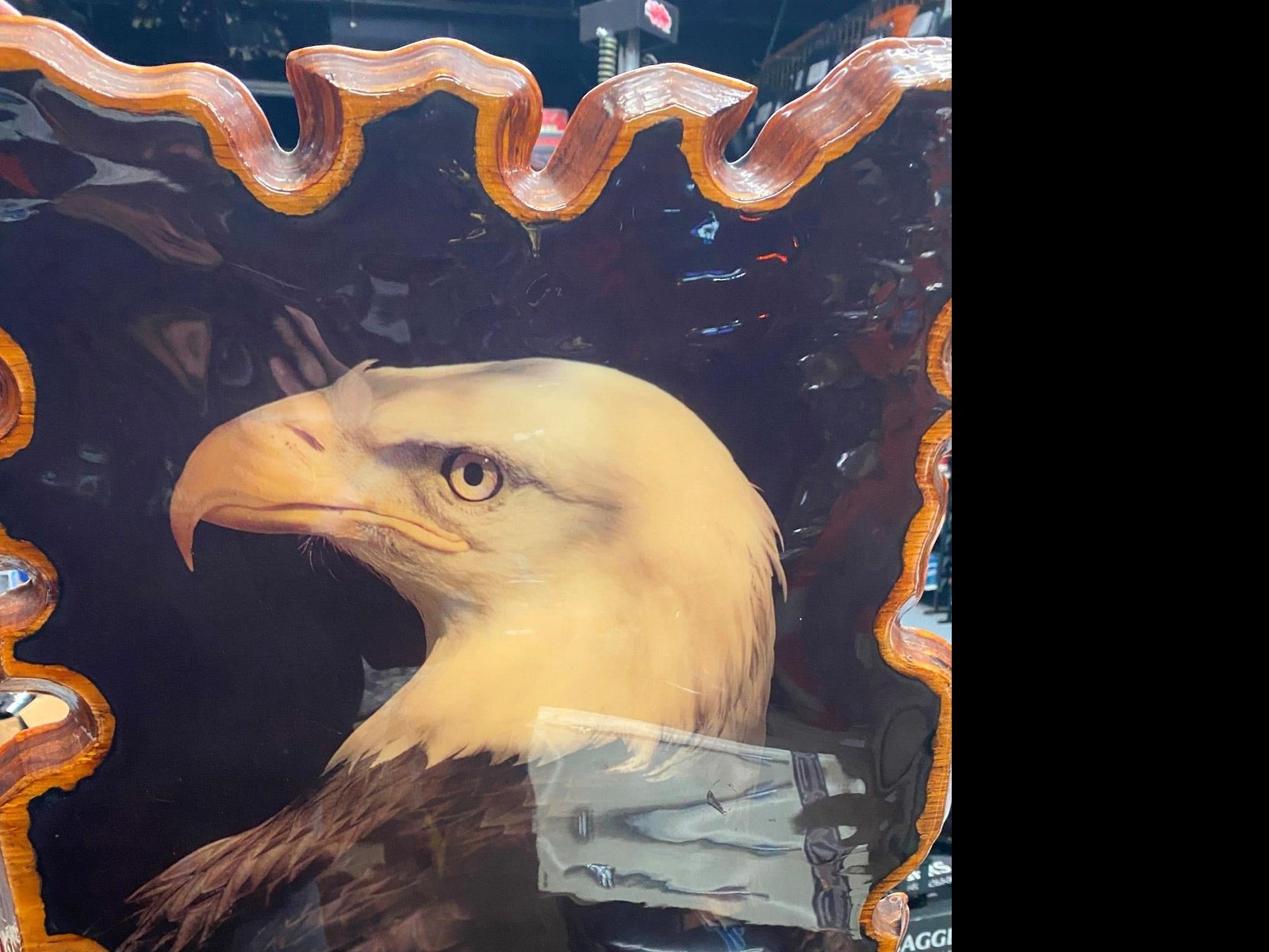 1 of 7 Bald Eagle Picture Wood Back 22x17 Harley Wildlife    was on the wall of