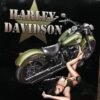 img29111.jpg OEM HARLEY "DUTY CALLS BABE" GIRL METAL TIN SIGN 13X15 SOFTAIL SLIM GARAGE SIGN