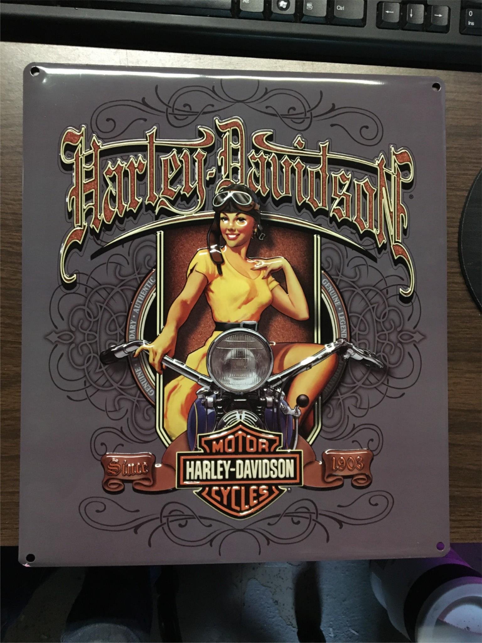 HARLEY DAVIDON ANDE ROONEY "OLD SCROLL BABE" METAL 13X15 SIGN  GARAGE/MAN CAVE