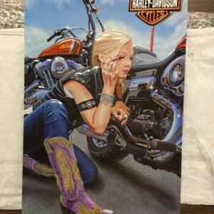 HARLEY DAVIDSON ANDE ROONEY METAL SIGN FINISHING TOUCH MAN CAVE/GARAGE  GIFT