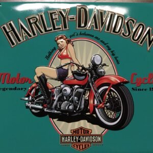 img30081.jpg HARLEY DAVIDSON ANDE ROONEY METAL SIGN FOR YOUR MAN CAVE - LEGENDARY BABE