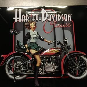 img30161.jpg HARLEY DAVIDSON ANDE ROONEY METAL SIGN - MAN CAVE/GARAGE - CLASSIC PIN UP BABE