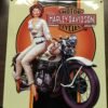 HARLEY DAVIDSON ANDE ROONEY METAL SIGN FOR YOUR MAN CAVE - DREAMING BABE