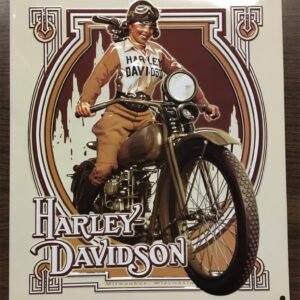 img30281.jpg HARLEY DAVIDSON ANDE ROONEY METAL SIGN PANHEAD VINTAGE FLH GLIDE - NOUVEAU BABE