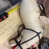 Vtg Bucko Bike Bronco Kit Bicycle Hopalong Cassidy Roy Rogers Bicycle Kit Wester