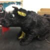 RARE ALPS Battery Powered Remote Control FIGHTING BULL w/ORIGINAL BOX Vintage