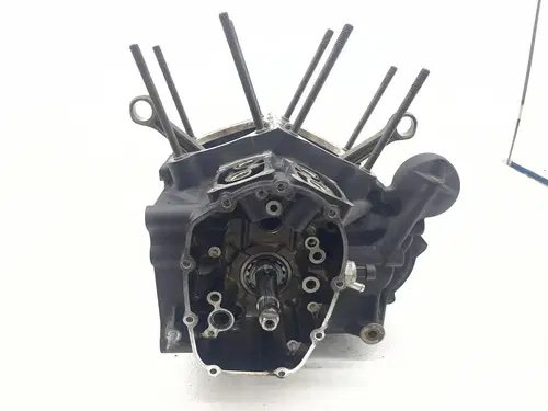 img_5080 17-23 HARLEY-DAVIDSON ROAD GLIDE SPECIAL FLTRXS ENGINE BOTTOM END CRANK CASES