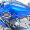 2009 HARLEY DAVIDSON ROADKING